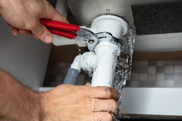 Best Flooded house restoration  in Ele, AR