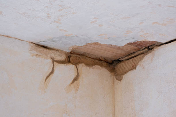 Best Ceiling water damage repair  in Ele, AR