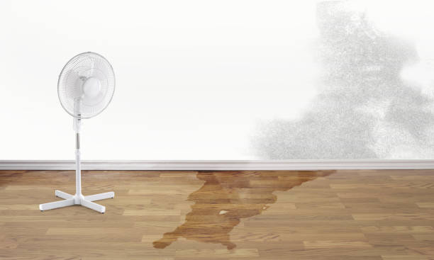 Best Water damage restoration near me  in Ele, AR
