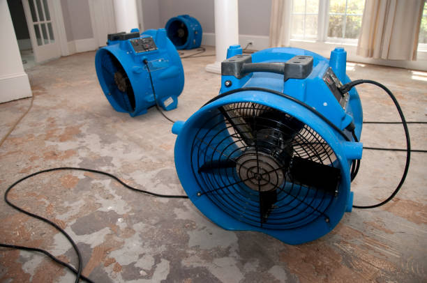 Best Water damage restoration experts  in Ele, AR